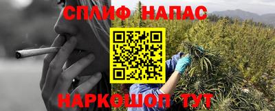 мдпв Дубна